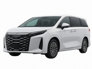 BYD M9